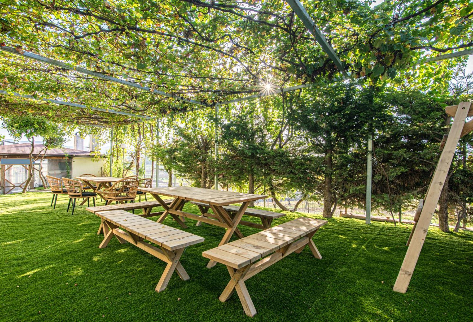 Masticha Apartment Oinofyta Dış mekan fotoğraf