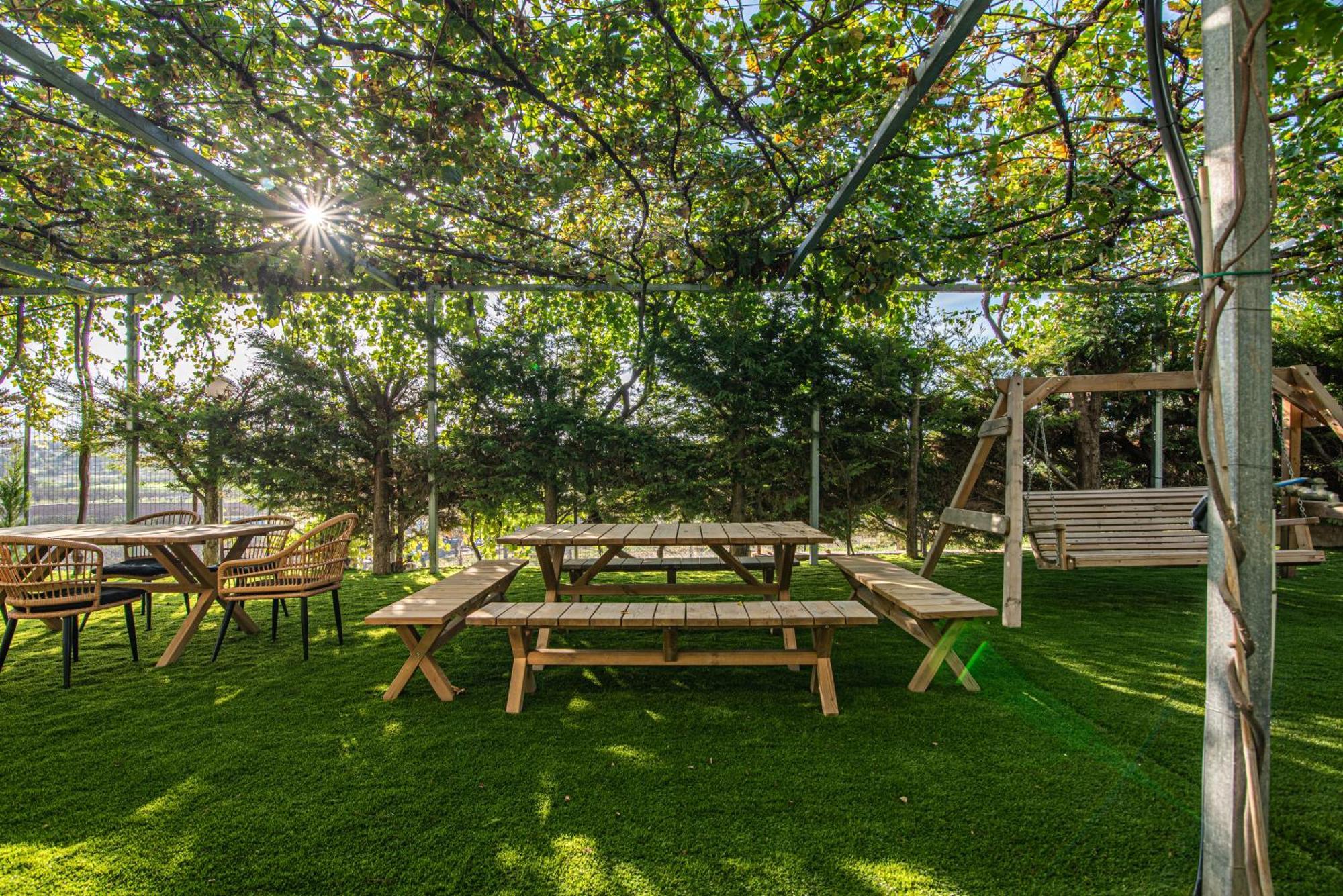 Masticha Apartment Oinofyta Dış mekan fotoğraf